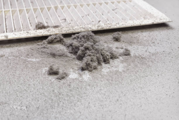Reliable Los Luceros, NM Airduct Cleaning Solutions