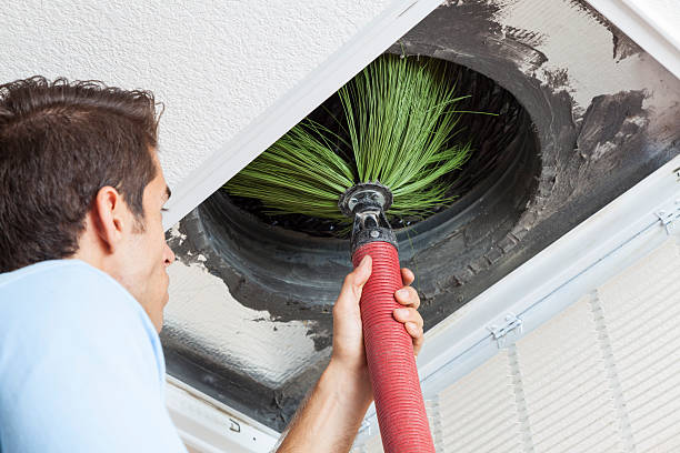 Air Duct Mold Removal in Los Luceros, NM