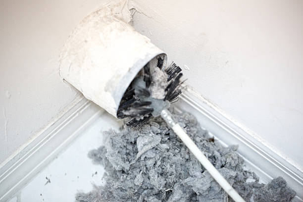 Best Affordable HVAC Duct Cleaning  in Los Luceros, NM